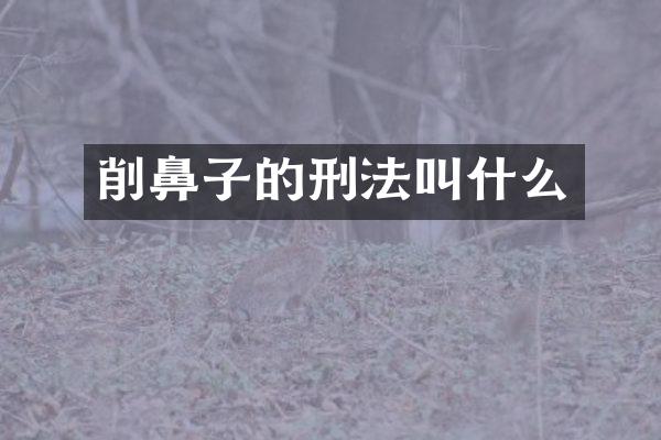 削鼻子的刑法叫什么