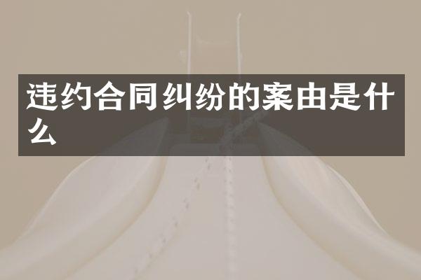 违约合同纠纷的案由是什么
