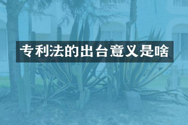专利法的出台意义是啥