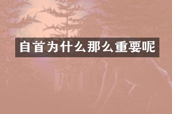 自首为什么那么重要呢