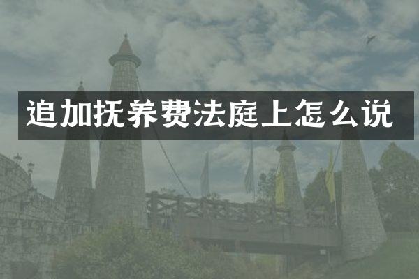 追加抚养费法庭上怎么说
