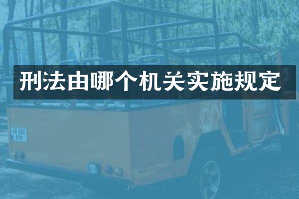 刑法由哪个机关实施规定