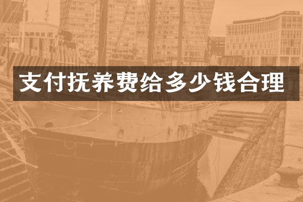 支付抚养费给多少钱合理