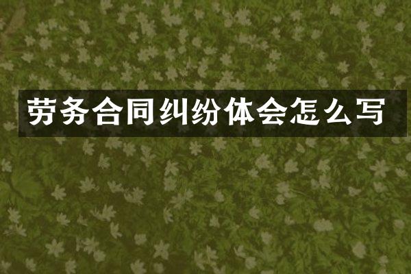 劳务合同纠纷体会怎么写