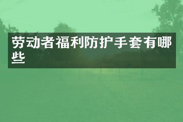 劳动者福利防护手套有哪些