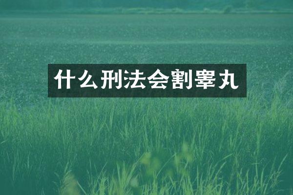 什么刑法会割睾丸