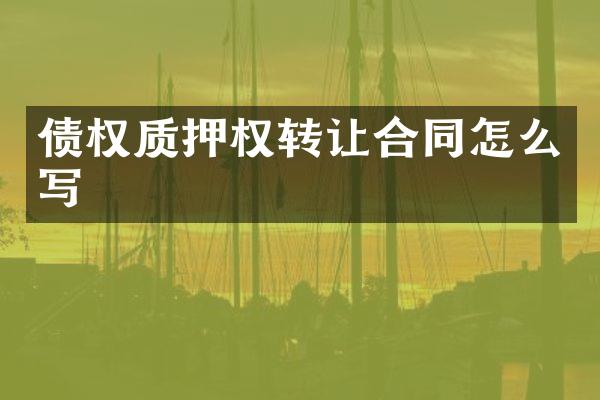 债权质押权转让合同怎么写