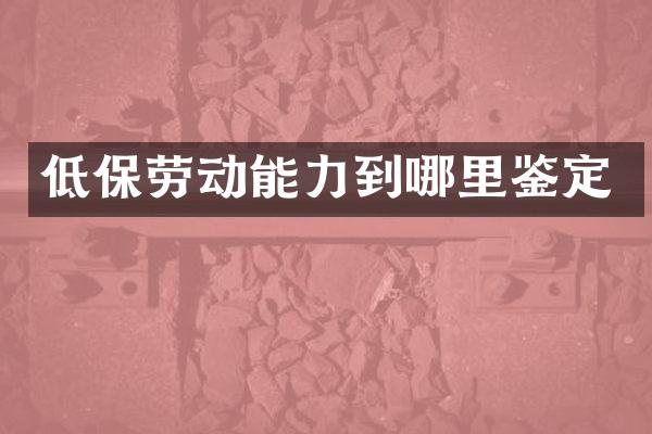 低保劳动能力到哪里鉴定