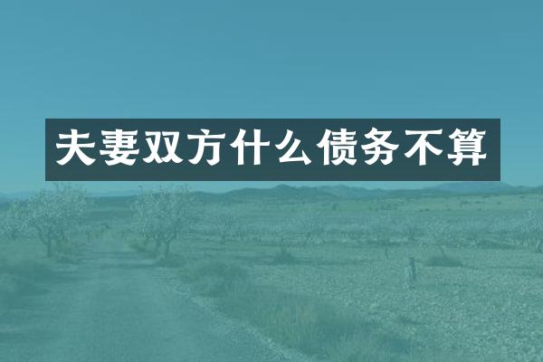 夫妻双方什么债务不算