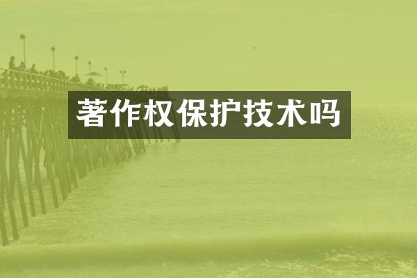 著作权保护技术吗