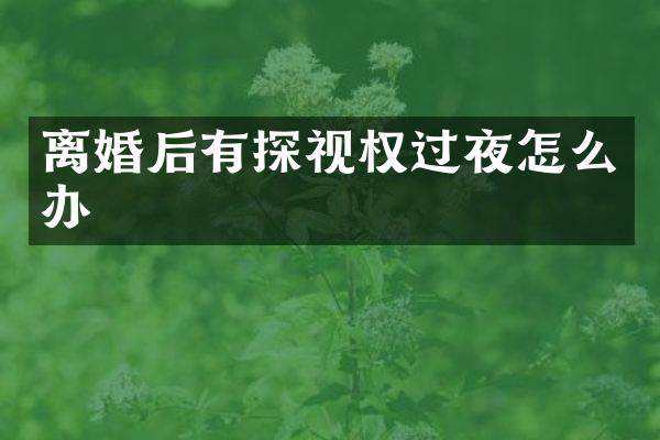 离婚后有探视权过夜怎么办