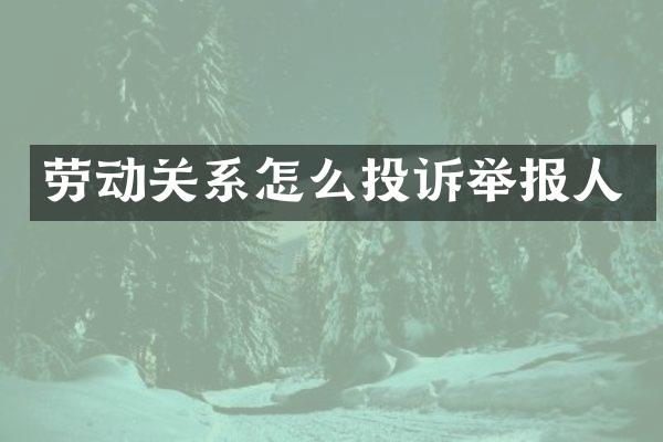 劳动关系怎么投诉举报人