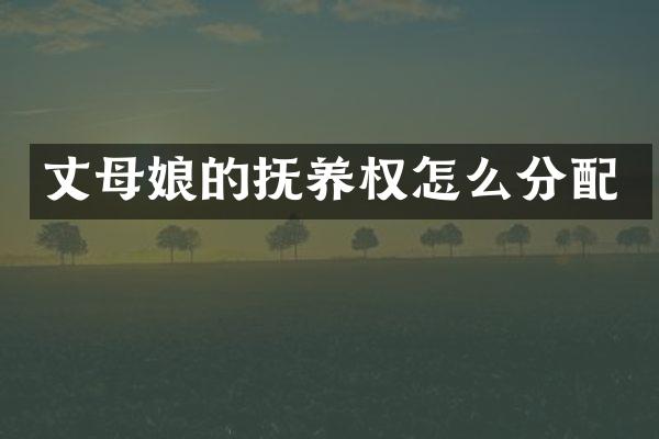 丈母娘的抚养权怎么分配