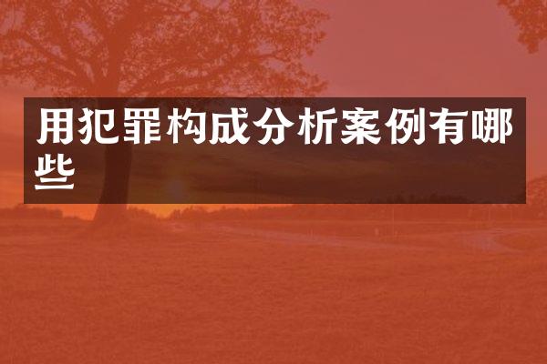 用犯罪构成分析案例有哪些