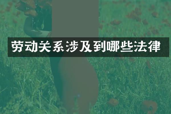 劳动关系涉及到哪些法律