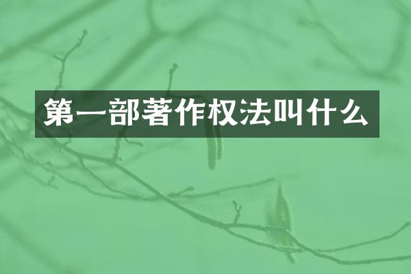 第一部著作权法叫什么