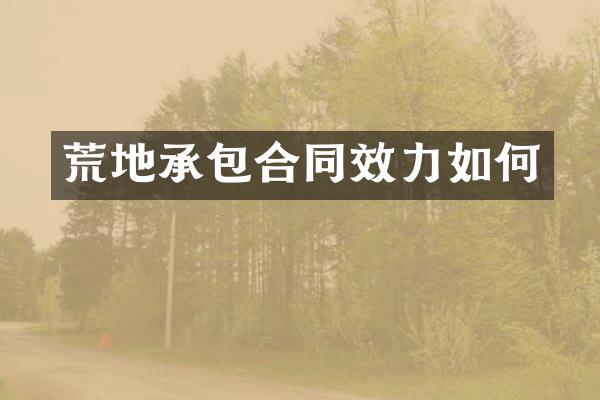 荒地承包合同效力如何