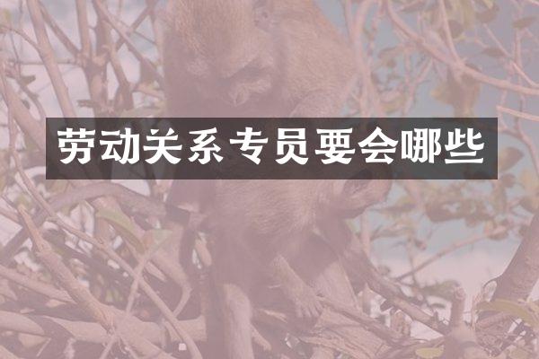 劳动关系专员要会哪些