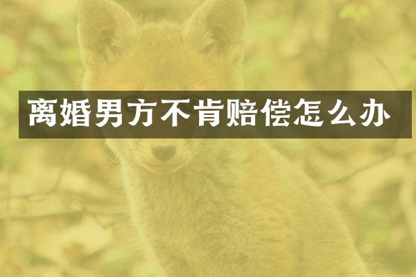 离婚男方不肯赔偿怎么办