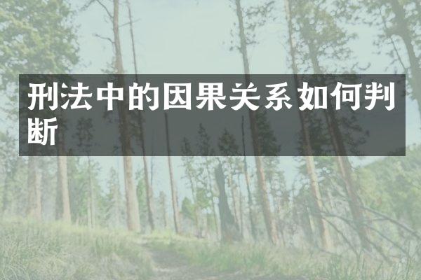 刑法中的因果关系如何判断