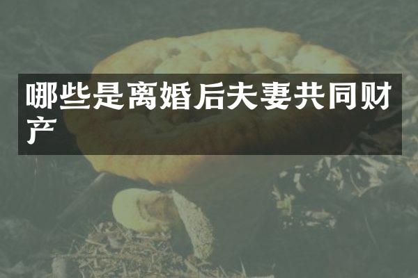 哪些是离婚后夫妻共同财产