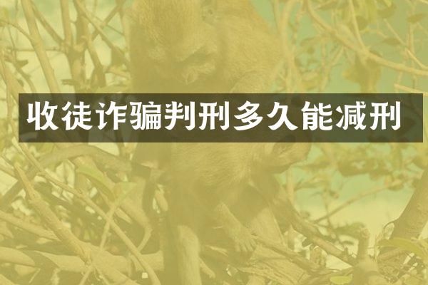 收徒诈骗判刑多久能减刑