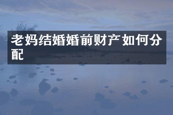 老妈结婚婚前财产如何分配