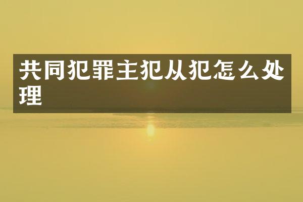 共同犯罪从犯怎么处理