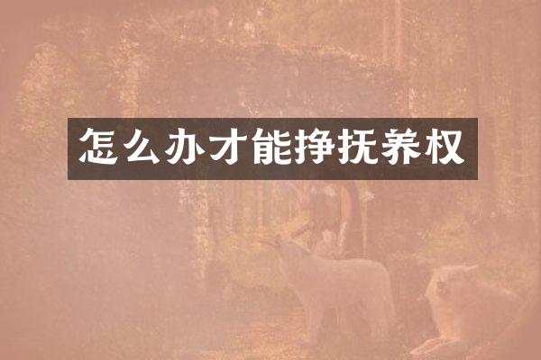 怎么办才能挣抚养权