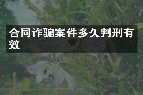 合同诈骗案件多久判刑有效