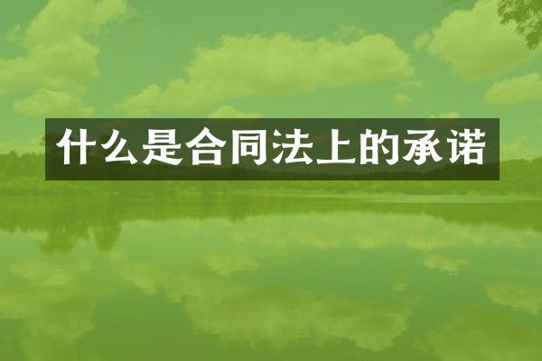 什么是合同法上的承诺
