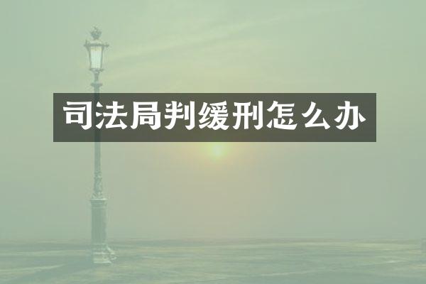 司法局判缓刑怎么办