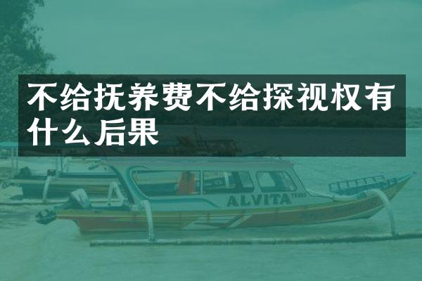 不给抚养费不给探视权有什么后果