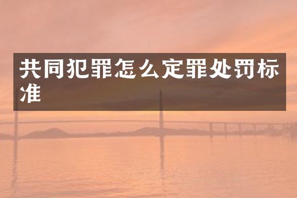 共同犯罪怎么定罪处罚标准