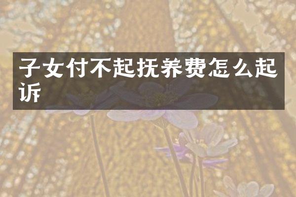 子女付不起抚养费怎么起诉