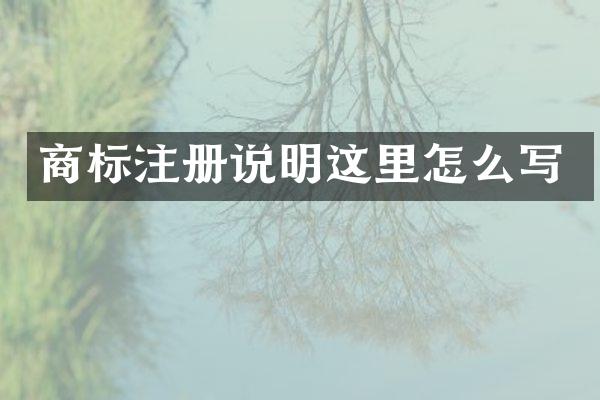商标注册说明这里怎么写
