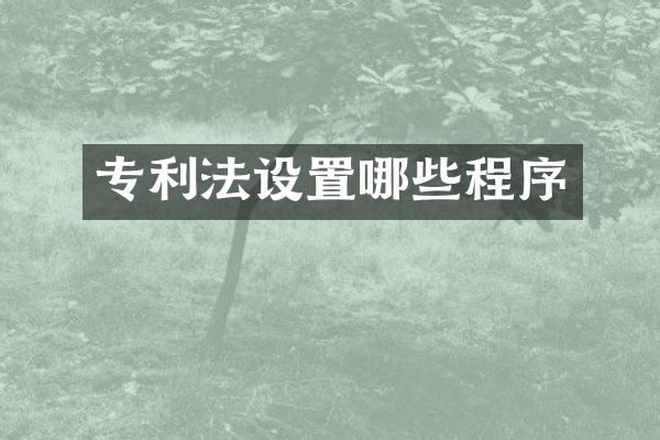 专利法设置哪些程序