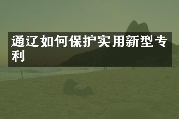通辽如何保护实用新型专利