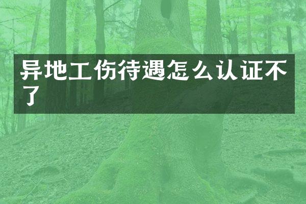 异地工伤待遇怎么认证不了