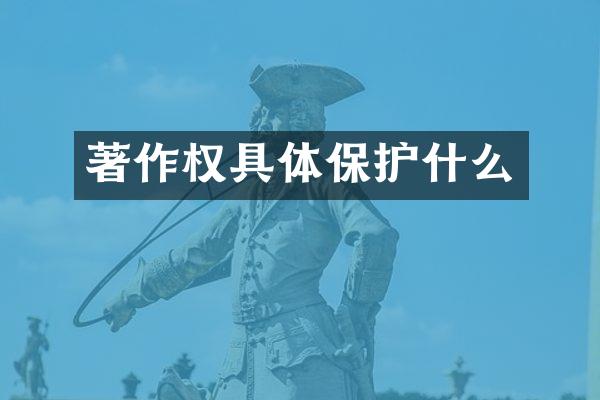 著作权具体保护什么