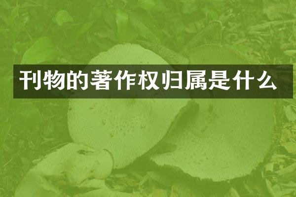 刊物的著作权归属是什么