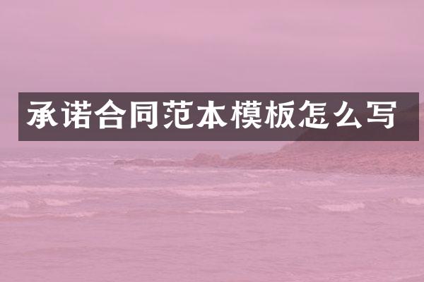 承诺合同范本模板怎么写