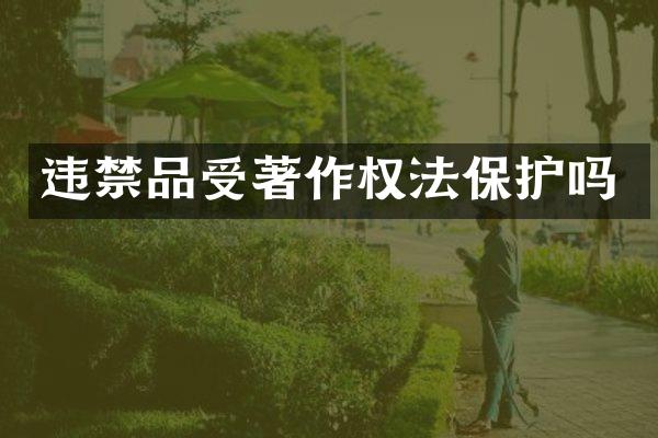 违禁品受著作权法保护吗