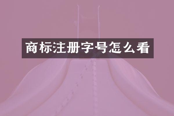 商标注册字号怎么看
