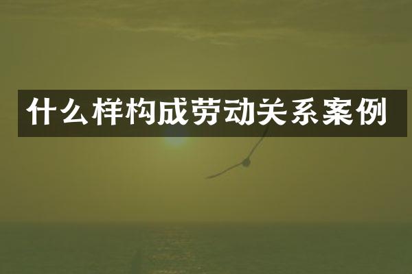 什么样构成劳动关系案例