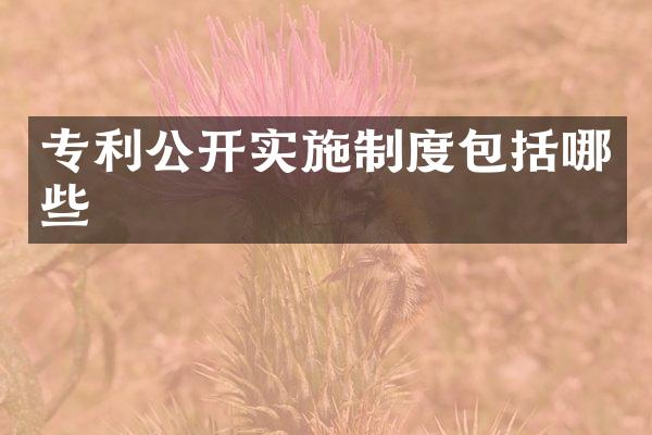 专利公开实施制度包括哪些