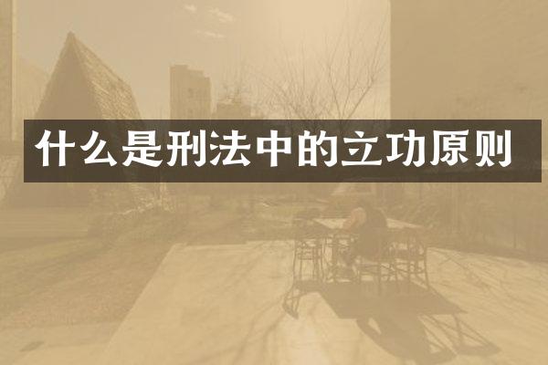 什么是刑法中的立功原则