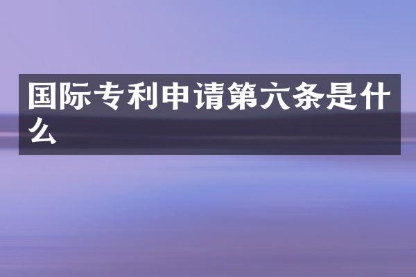 国际专利申请第六条是什么