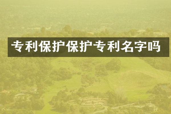 专利保护保护专利名字吗