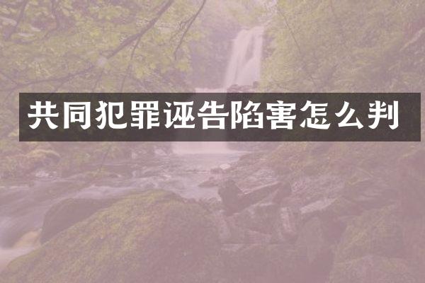 共同犯罪诬告陷害怎么判